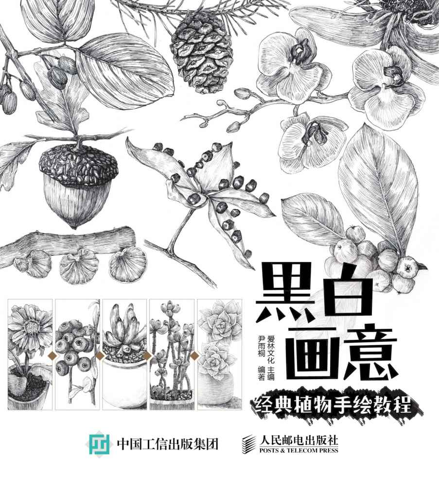 《黑白画意》经典植物手绘教程